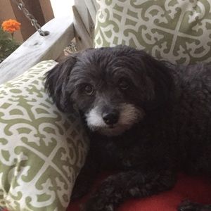 Meet your Posher, Saundra